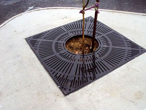 Plaza s metalnom umjetničkom zaštitnom rešetkom za drvo
